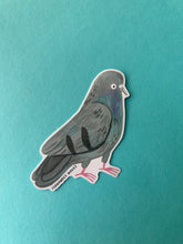 Pigeon Sticker
