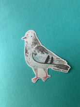 Pigeon Sticker