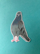 Pigeon Sticker