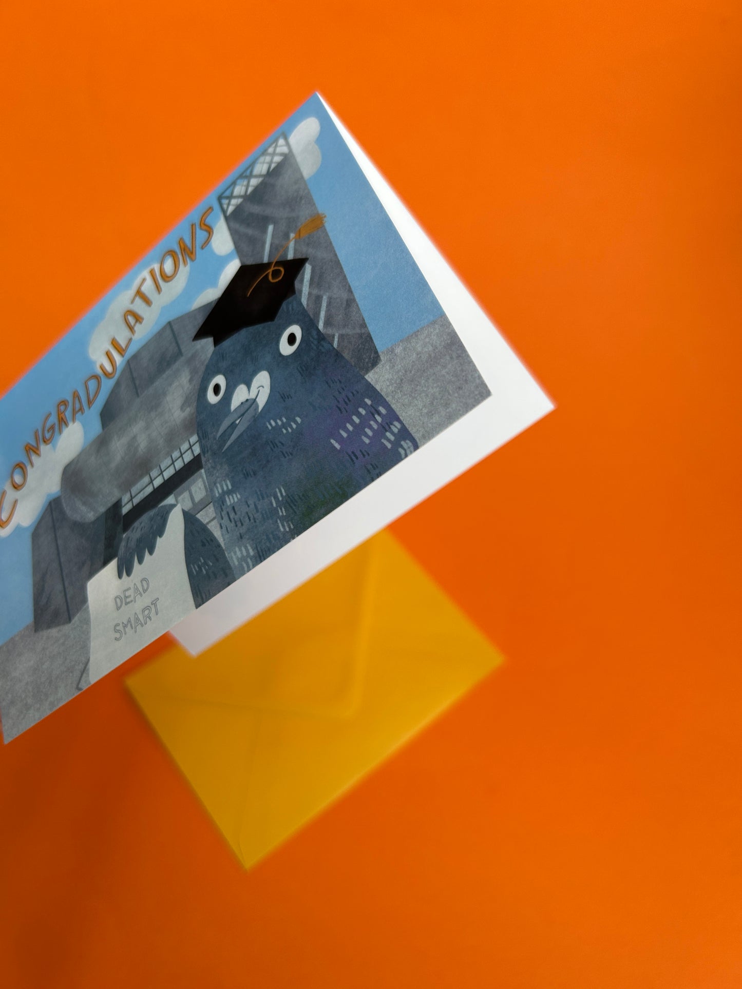 Congradulations Pigeon Greeting Card / Graduation