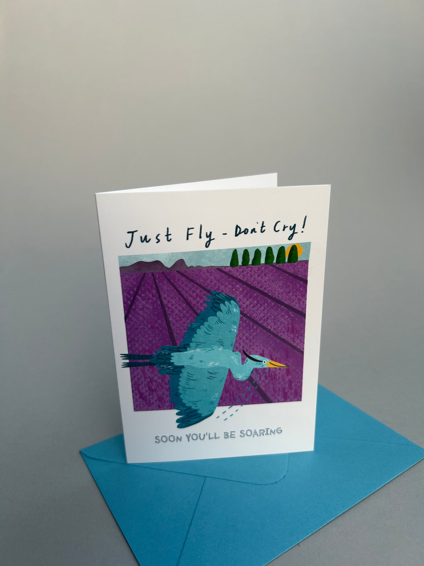 Just Fly - Don't Cry Greeting Card
