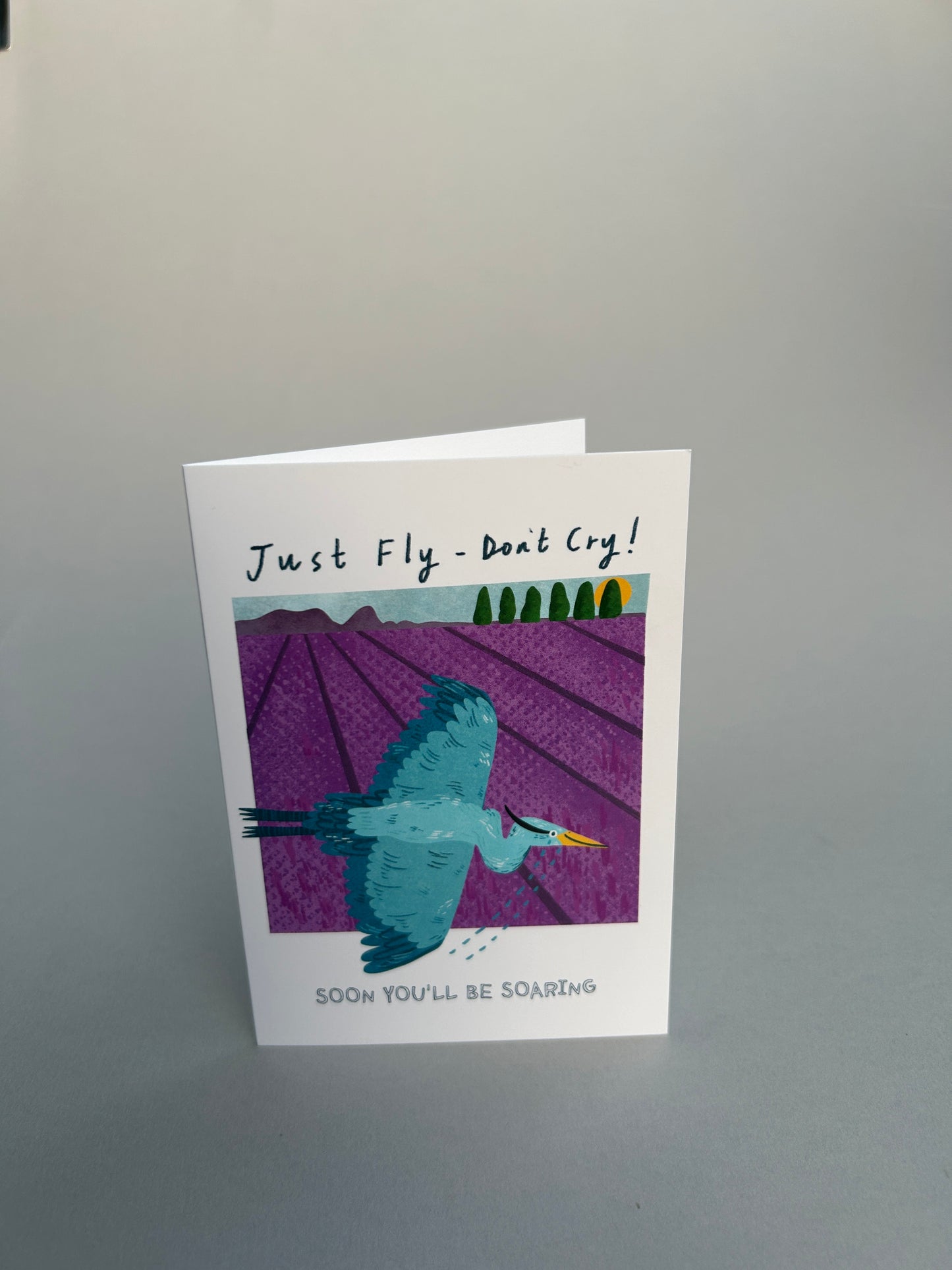 Just Fly - Don't Cry Greeting Card