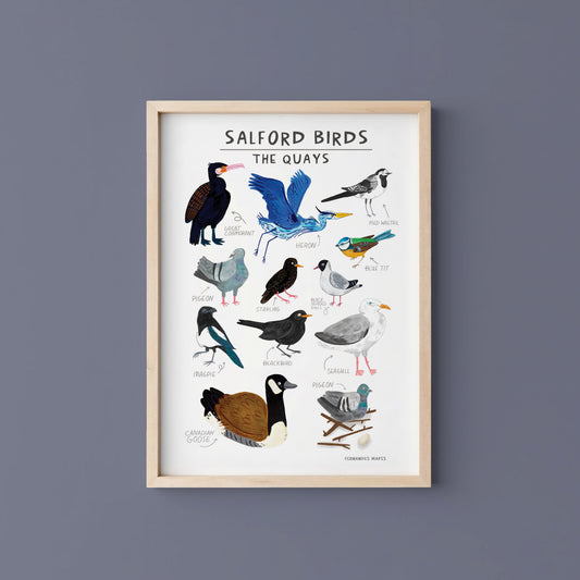 Salford Quays Birds