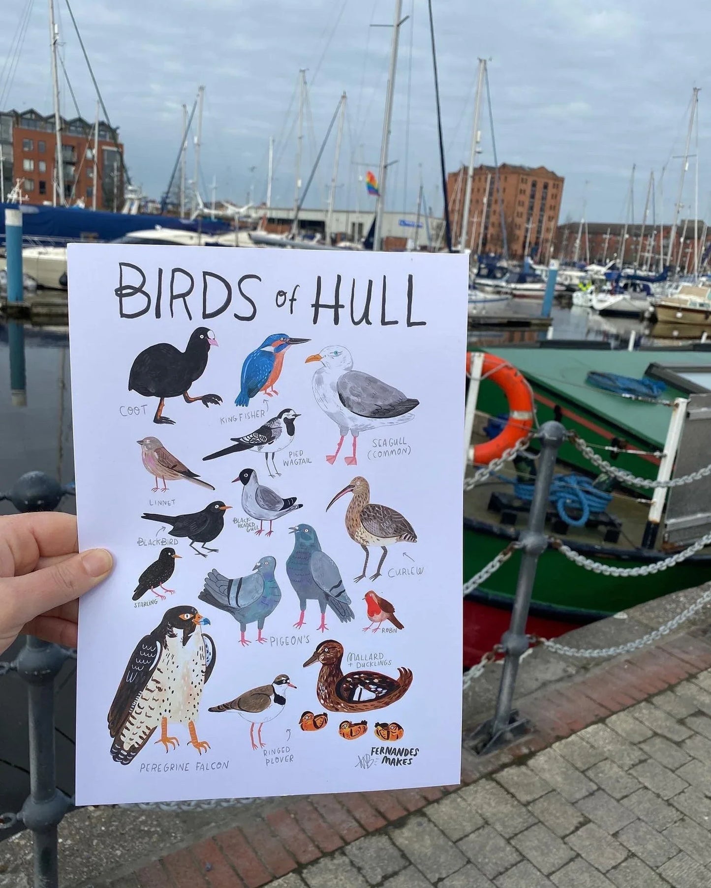 Birds of Hull- Art Print