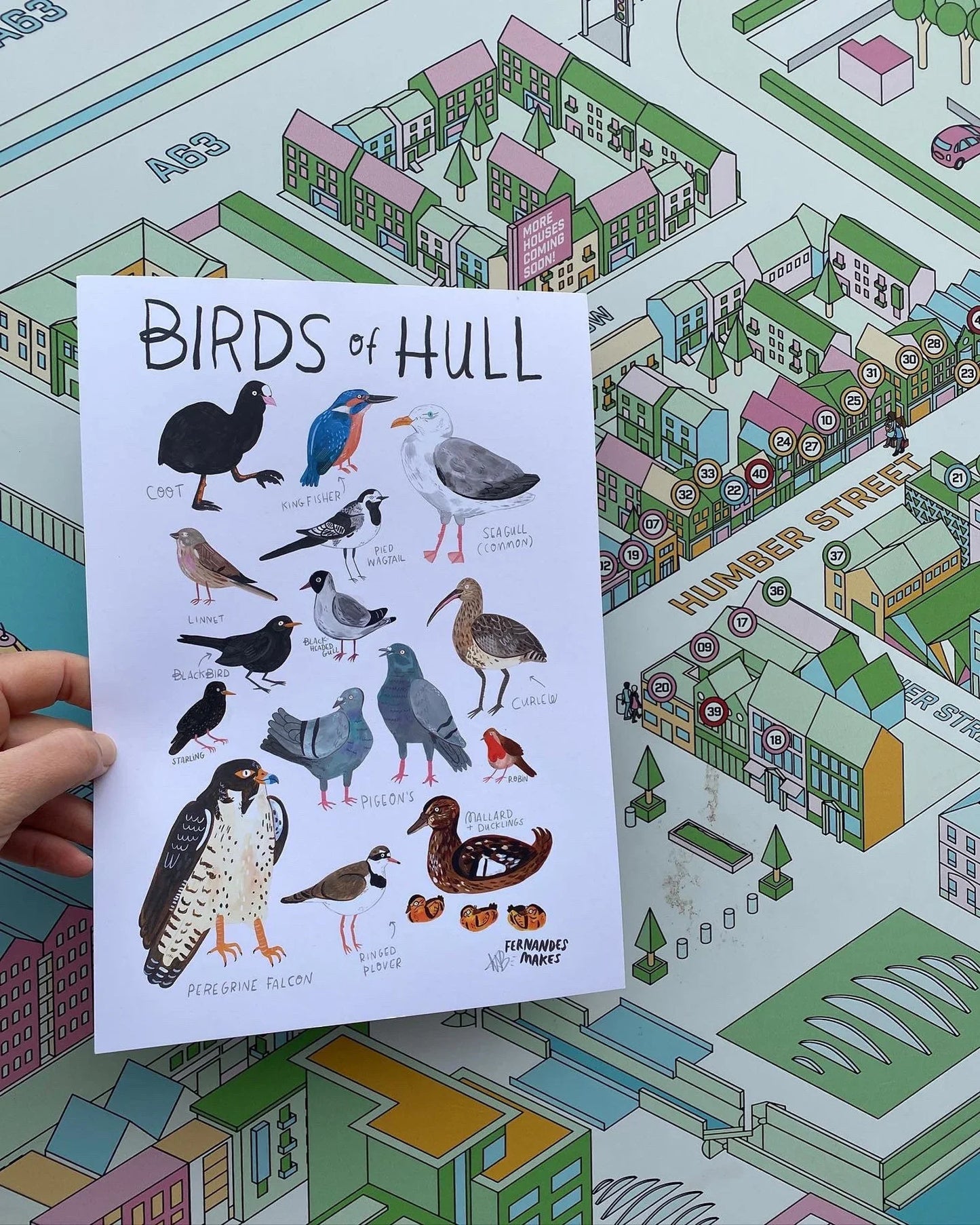 Birds of Hull- Art Print