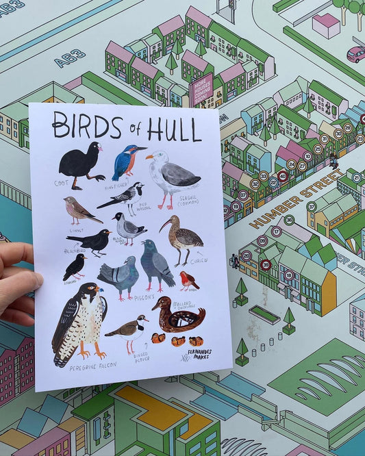 Birds of Hull- Art Print