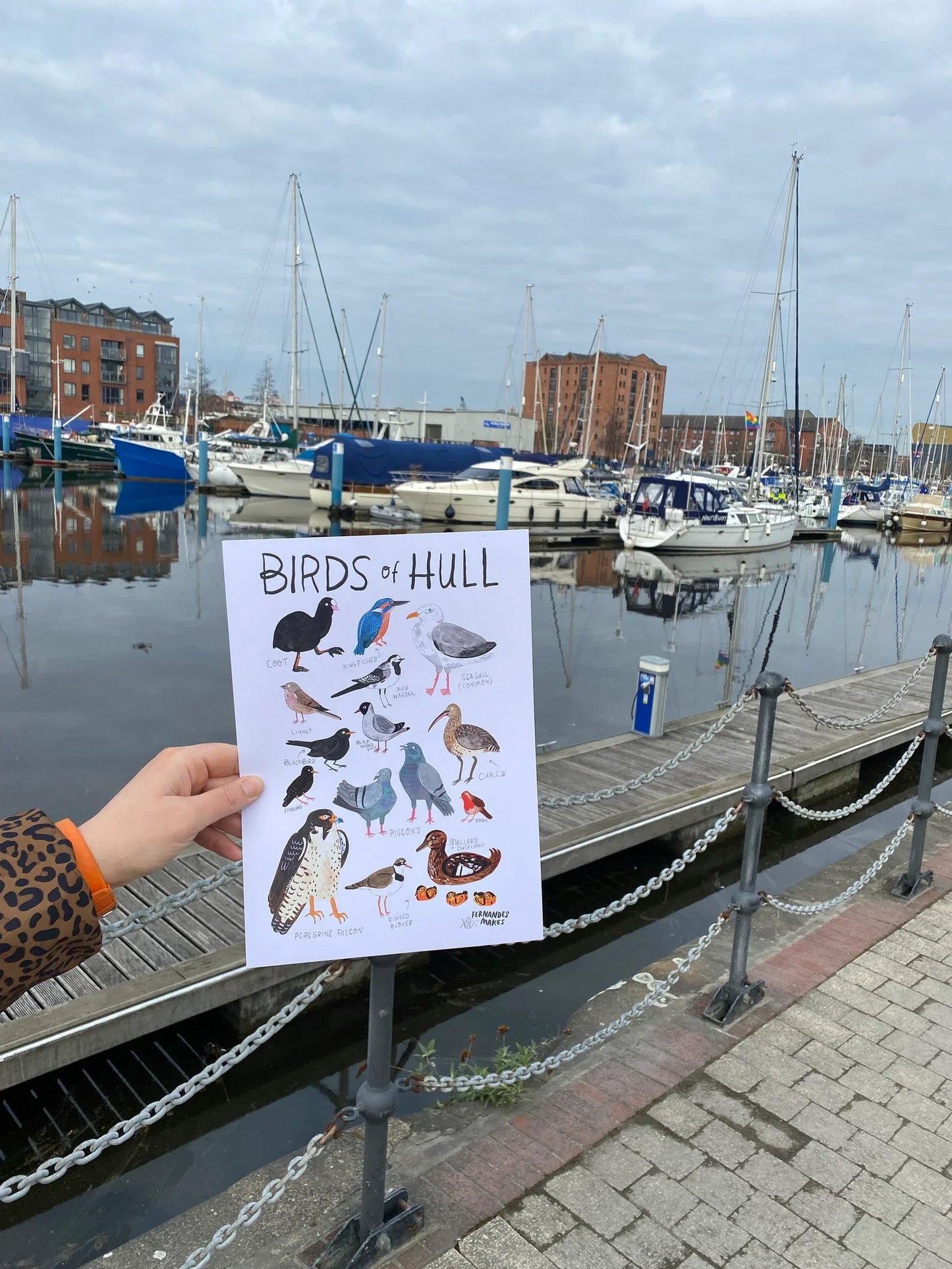 Birds of Hull- Art Print