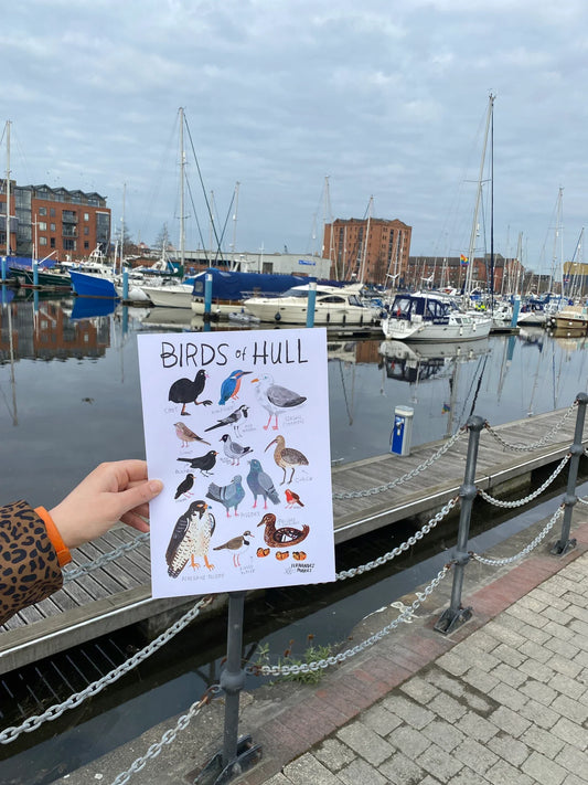 Birds of Hull- Art Print