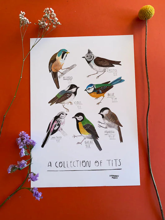 Collection of Tits - Art Print