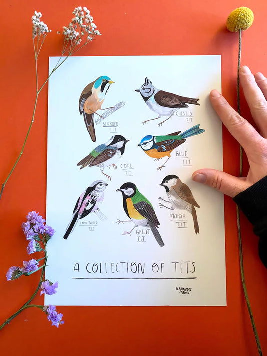 Collection of Tits - Art Print