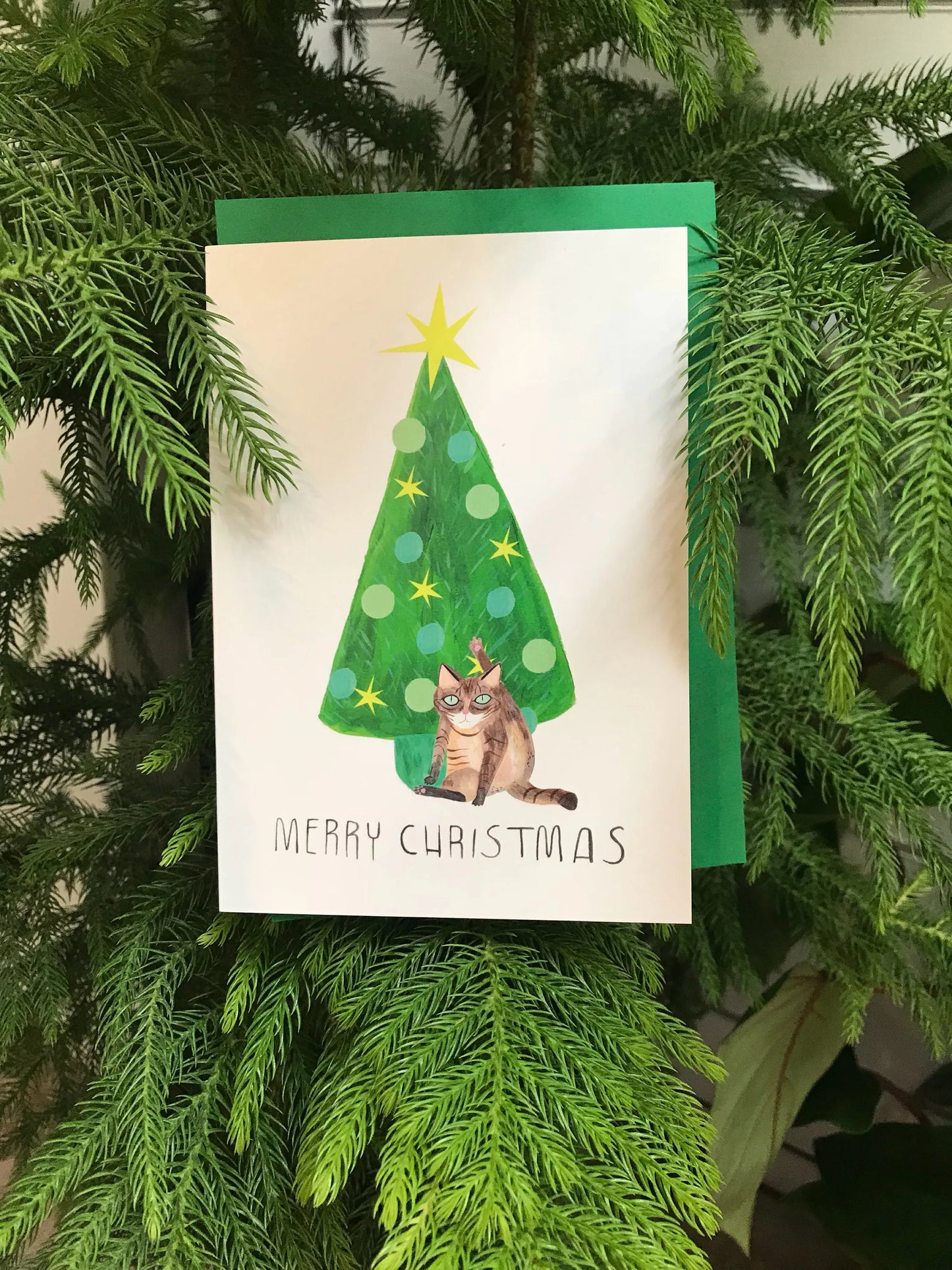 Cat Licking / Christmas / Festive Greeting Card