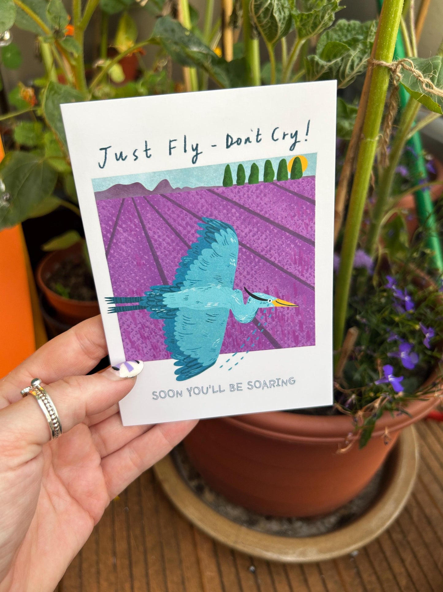 Just Fly - Don't Cry Greeting Card