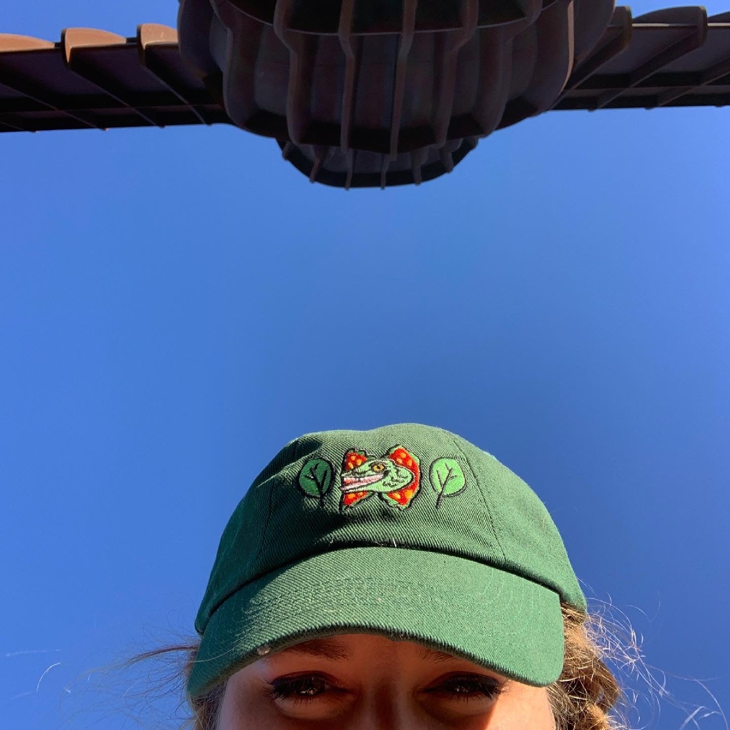 Dilophosaurus Dinosaur embroidered 100% heavy cotton Cap, Baseball Cap in forest Green - Fernandes Makes