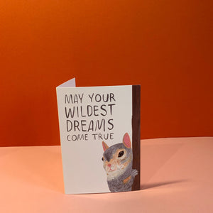 May Your Wildest Dreams Come True -  Motivational Squirrel Greetings Card - Cute, Funny Animal Illustrated, Illustrated Card, Humour - Fernandes Makes