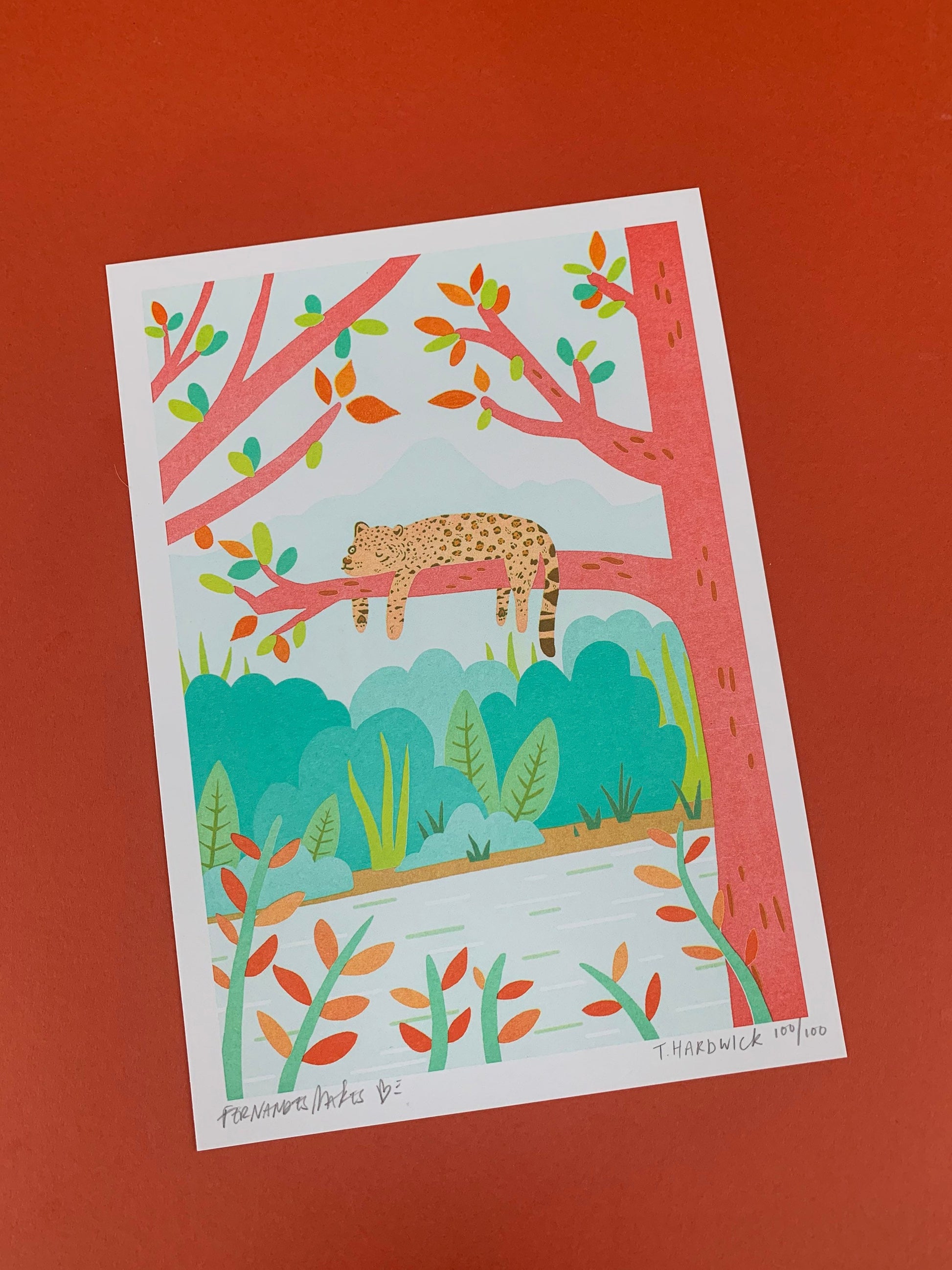Sneaking in a nap - Cool Cat Jaguar RISO A4 Art Print - Limited Edition of 100. Collaboration with Fernandes Makes and Tom Hardwick - Fernandes Makes
