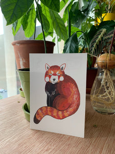 Awkward Red Panda postcard A6 - Fernandes Makes
