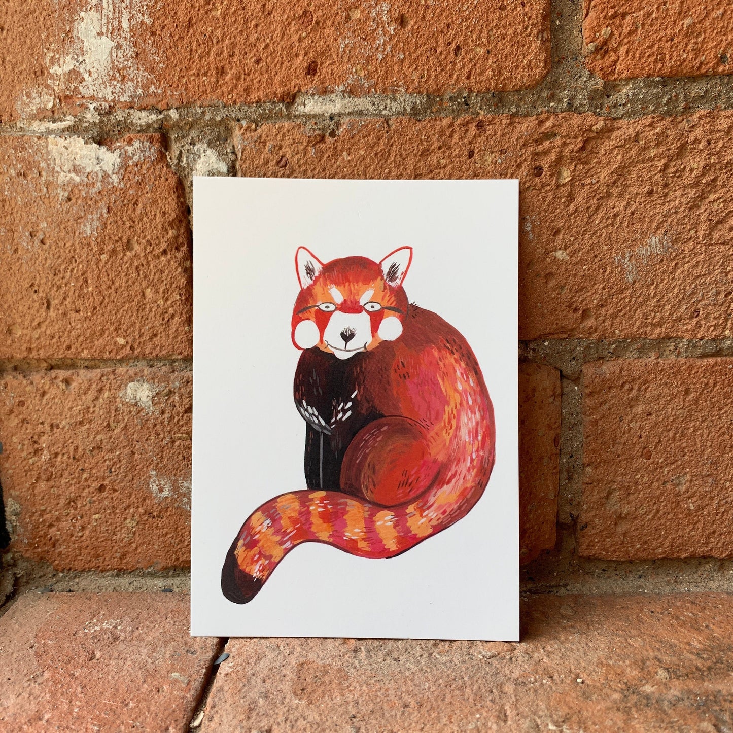 Awkward Red Panda postcard A6 - Fernandes Makes