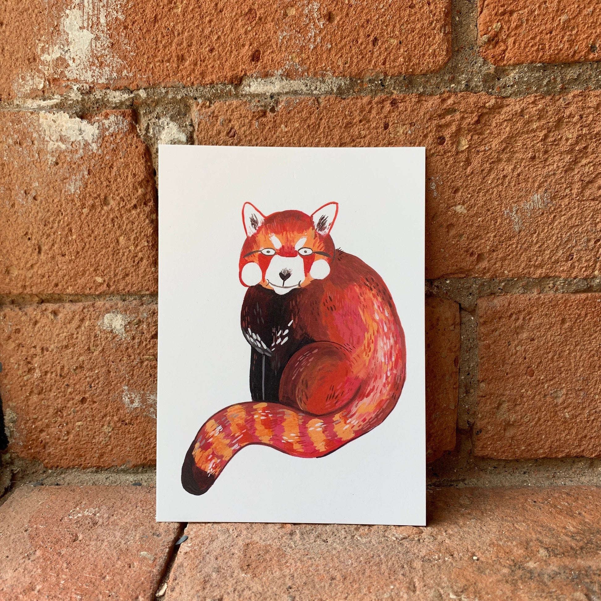 Awkward Red Panda postcard A6 - Fernandes Makes
