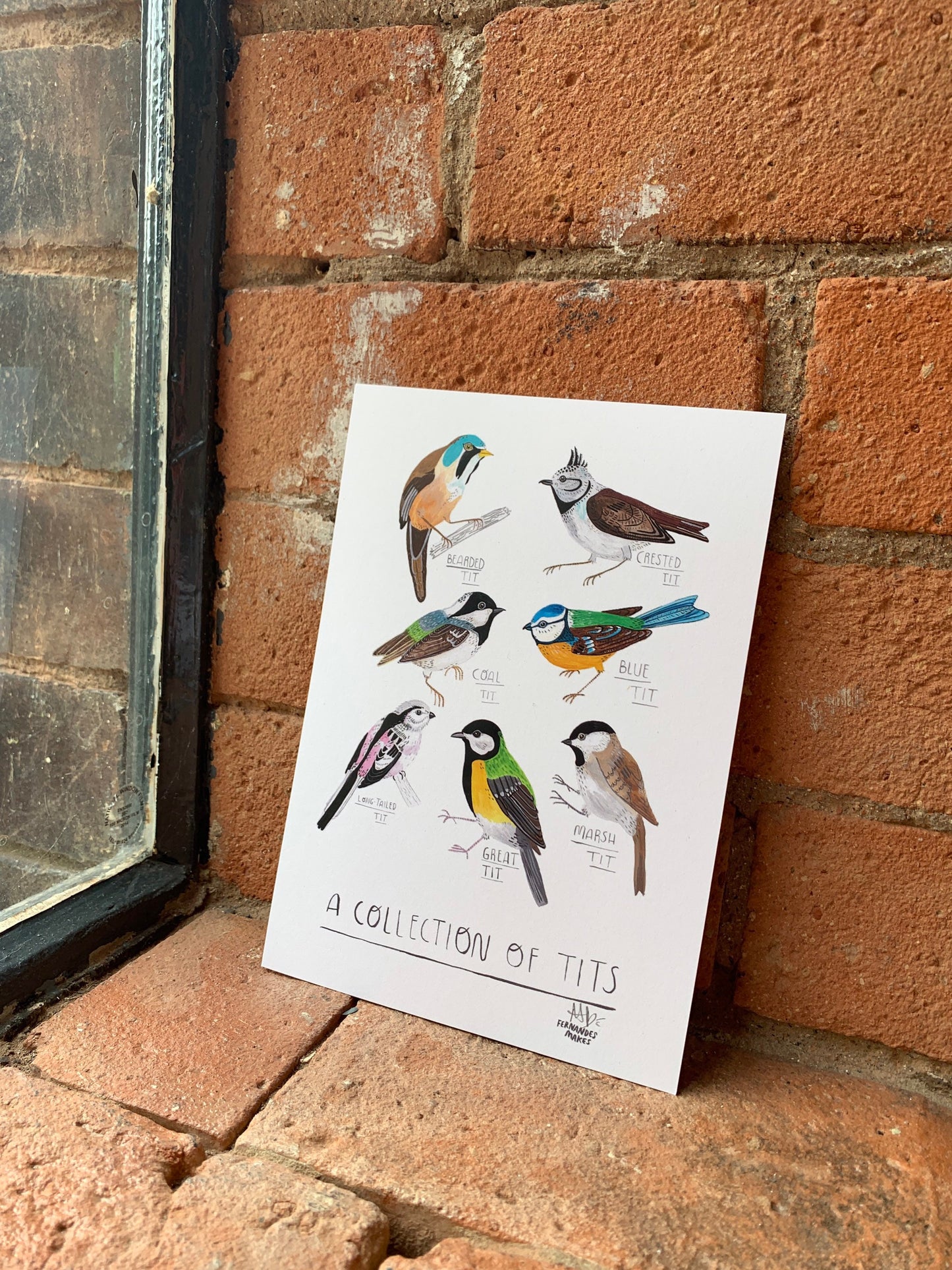 Collection of tits, bird watcher gift, illustrated postcard A6 / mini art print - Fernandes Makes