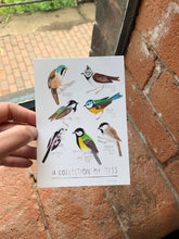 Collection of tits, bird watcher gift, illustrated postcard A6 / mini art print - Fernandes Makes
