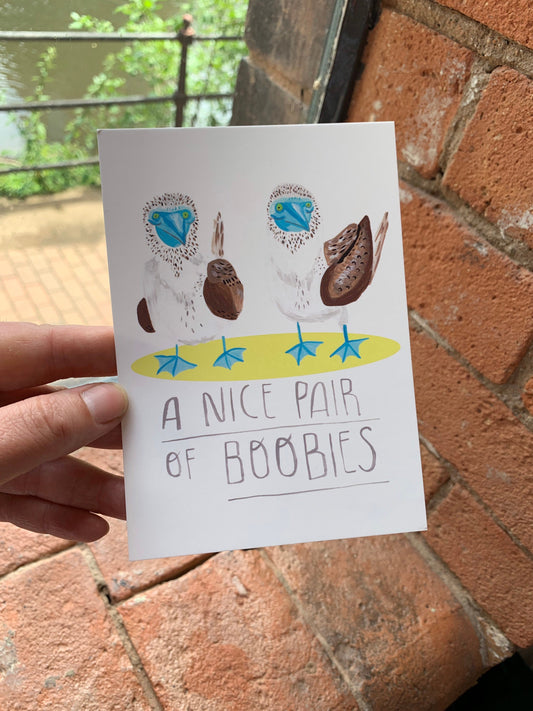 Pair of Boobies, wild bird illustration - A6 postcard, Mini art print - Fernandes Makes