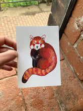 Awkward Red Panda postcard A6 - Fernandes Makes