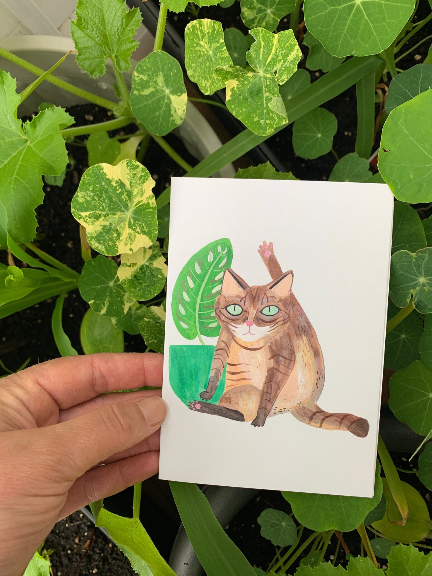 Cat licking A6 Greetings Card - Funny Rude Cat Card, Cat Illustration, Relax Card, Humour, Animal Painting, Self Care, Blank Inside - Fernandes Makes
