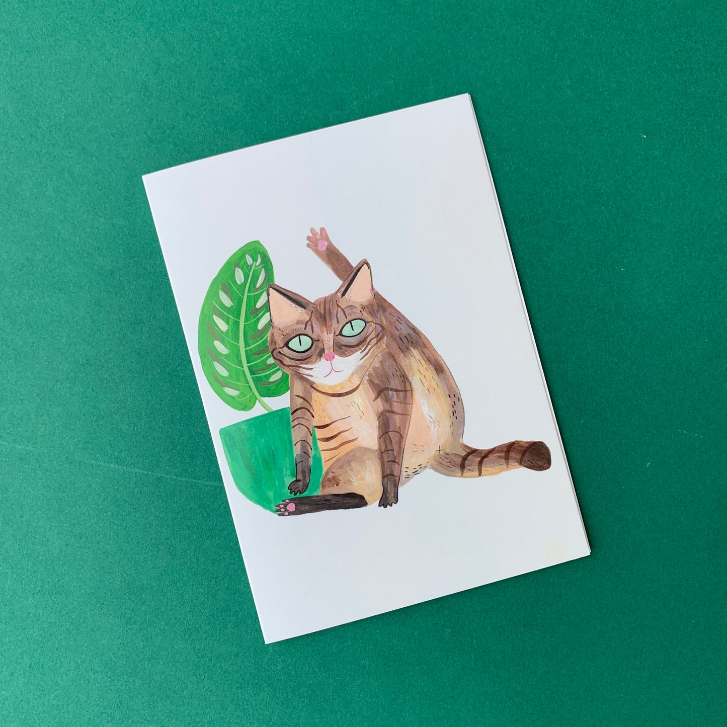 Cat licking A6 Greetings Card - Funny Rude Cat Card, Cat Illustration, Relax Card, Humour, Animal Painting, Self Care, Blank Inside - Fernandes Makes