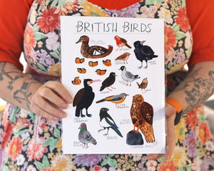 British Birds Art Print - Garden Bird Illustrated Home Decor, Animal Painting for Bird Lovers, Cute Nature Themed Wall Art - Fernandes Makes