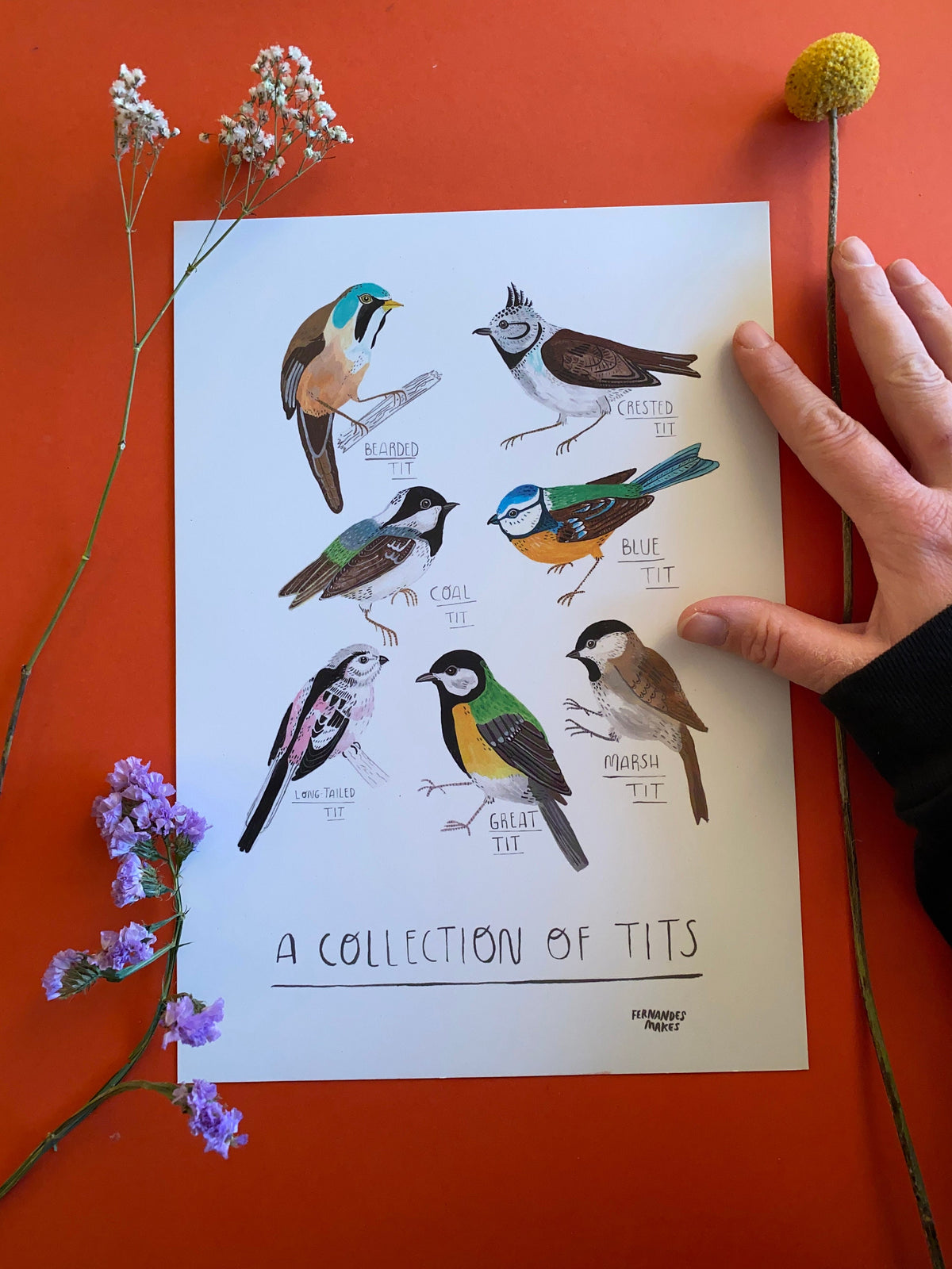 A Collection Of Tits Bird Print - Garden Bird Illustrated Home Decor, Animal Painting for Bird Lovers, Cute Nature Themed Wall Art - Fernandes Makes