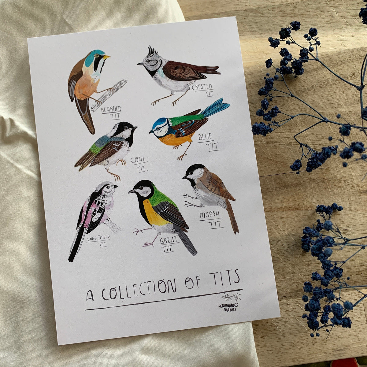 A Collection Of Tits Bird Print - Garden Bird Illustrated Home Decor, Animal Painting for Bird Lovers, Cute Nature Themed Wall Art - Fernandes Makes