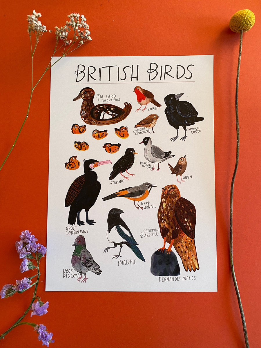 British Birds Art Print – Fernandes Makes